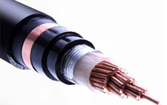 轨道交通电缆