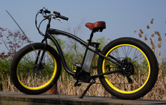 48V 500W胖胎悍马车