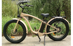 EN15194认证热卖肥胎沙滩车