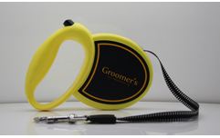 pet retractable dog leash